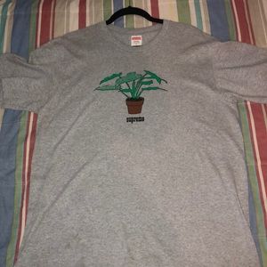 Grey Supreme Plant Tee size M
